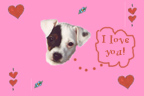 h_annie
