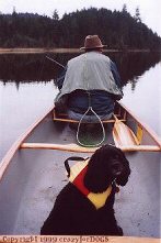 v_cocoa_canoe_cr