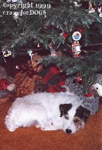 v_matthew_christmas_cr