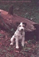 v_matthew_log1_cr