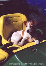 v_ratcliff_driving_cr