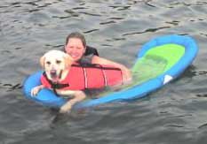 dog on raft